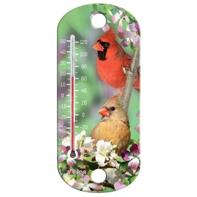 TAYLOR PRECISION PRODUCTS Taylor Precision Products 5204 Decorative Thermometer
