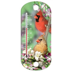 TAYLOR PRECISION PRODUCTS Taylor Precision Products 5204 Decorative Thermometer