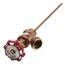 BELL & GOSSETT Bell Gossett Bg 113041 Drain-o-tank Air Charger
