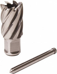 FEIN Fein 63134286042 Annular Cutter 1-1/8 in 2 in Hss