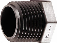 PARKER Parker 318P-2PP Polypropylene Pipe Plug 1/8 Inch Mpt