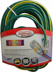 SOUTHWIRE Southwire 2549SW0052 Outdoor Extension Cord 100 Ft 12/3 Awg