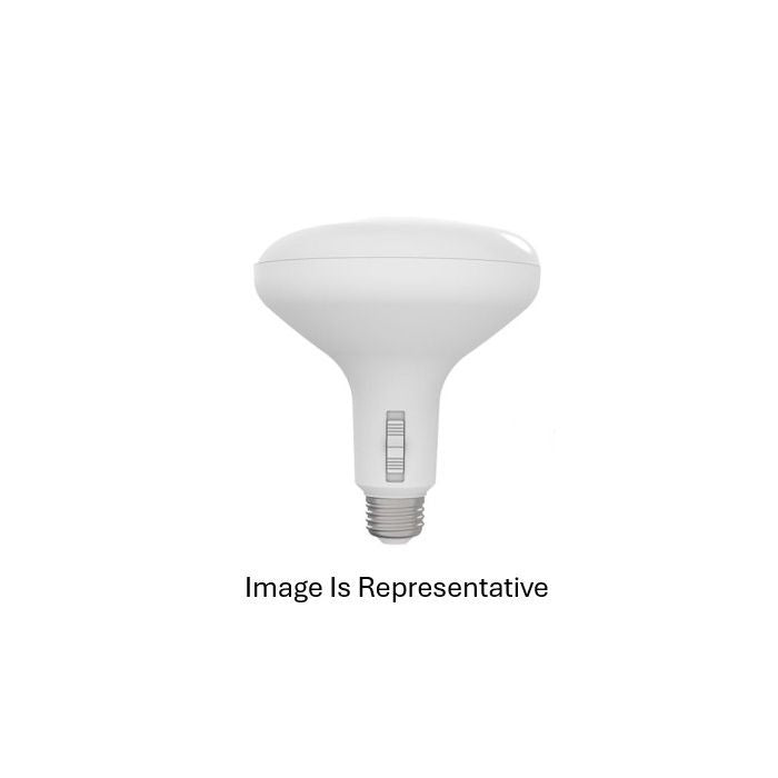 EIKO Eiko BR4021W9FCCTD BR40 LED Lamp 21W (BR40 / Replaces 150W) BR4021W9FCCTD
