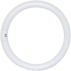 SATCO-NUVO Satco-Nuvo S6506 T9 Circline Fluorescent 40W (4-Pin)
