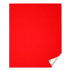 DIABLO Diablo DCS911180S01B Sanding Sheet 9 in x 11 in (Pack of 1)