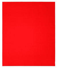 DIABLO Diablo DCS911120S01B Sanding Sheet (9 x 11 in / 1/PK) DCS911120S01B-XCP50