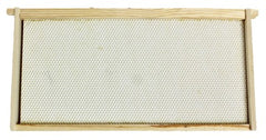 HARVEST LANE HONEY Harvest Lane Honey WWFFD-101 Deep Beehive Frame 10-pack