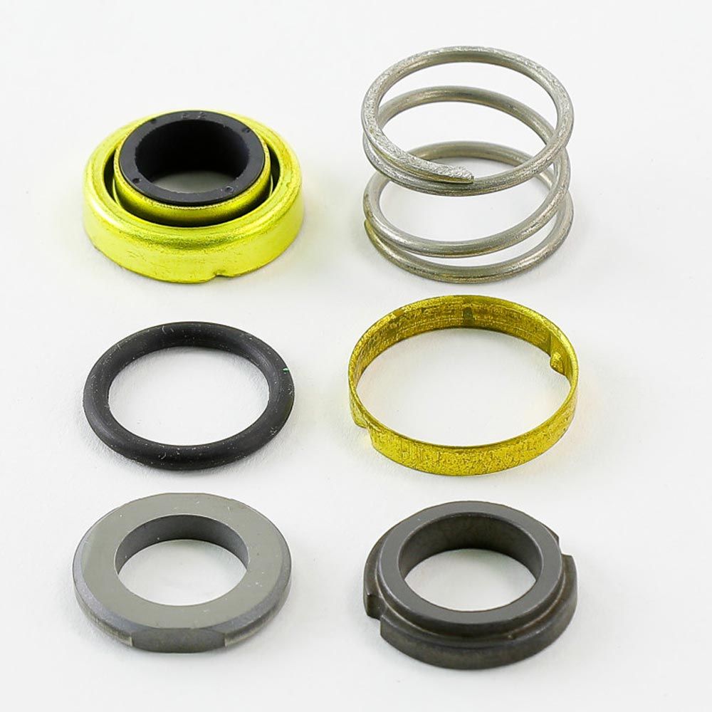 BELL & GOSSETT 185230LF SEAL KITS