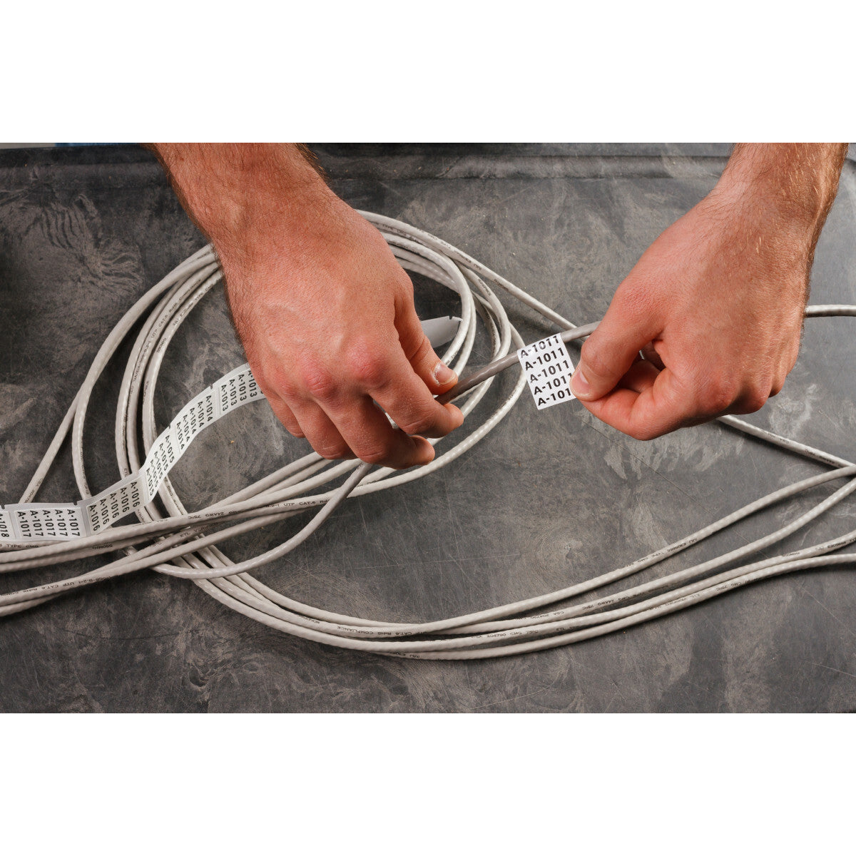 BRADY Brady M4-48-498 Repositionable Lbls 0.75x1 BK/WT RL/180