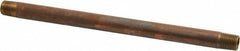 MERIT BRASS Merit Brass 2004-800BSPT Brass Pipe Nipple 1/4 Bspt 8 in
