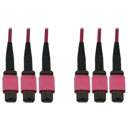 TRIPP LITE Tripp Lite N858B-10M-3X8MG Mpo Fiber Breakout Cable