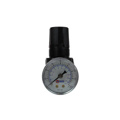 COILHOSE PNEUMATICS Coilhose Pneumatics MR2-GL Miniature Air Regulator 1/4 Npt