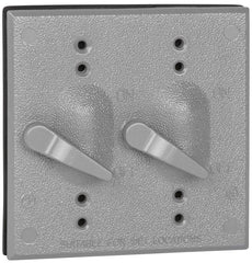 MULBERRY METAL PRODUCTS Mulberry Metal Products 30496 2-Gang Weatherproof Cover with External Handle (2-Gang) R-DOT 2CCT
