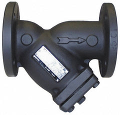 LEGEND VALVE Legend Valve 105-611 Cast Iron Y-strainer 2 in Flanged