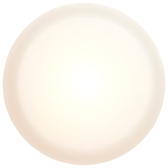 SATCO-NUVO Nuvo 62-558 Pi 18W 9-Inch Flush A67NR