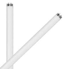 FEIT ELECTRIC Feit Electric F20T12/CW/2 T12 Fluorescent Tube 20 W (24 in / 2-Pack) Replacement F20T12
