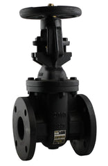 APOLLO VALVES Apollo Valves 6GA118B1LFA 611F-LFA Gate Valve Class 125 (2 Inch Flange)