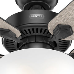 HUNTER Hunter 51738 Swanson Ceiling Fan with Light Kit 2 x 6.5W LED (52 in.)
