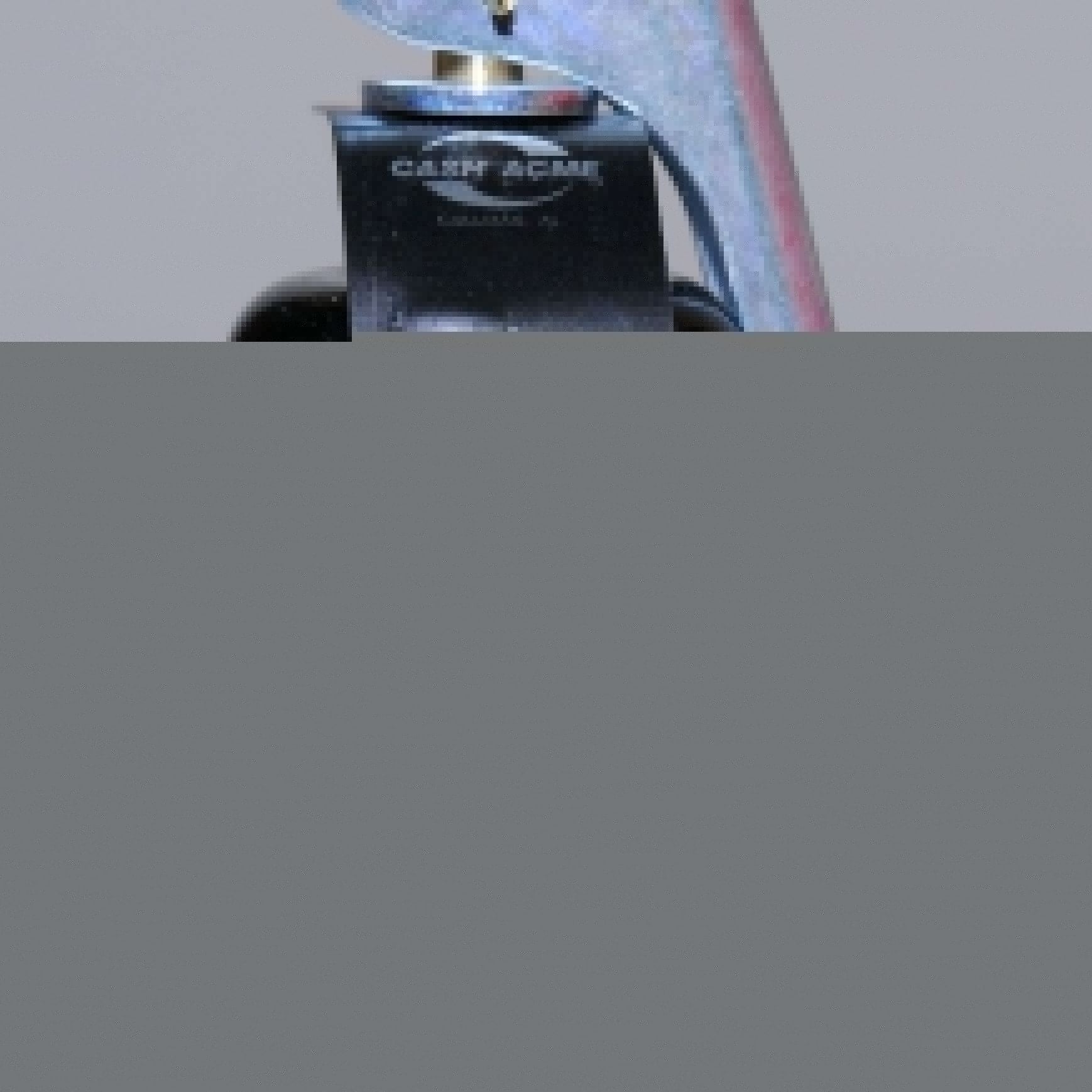 CASH-ACME Cash Acme 23341-0125 F-82 Relief Valve 125 PSI 3/4 in. Replacement MPN
