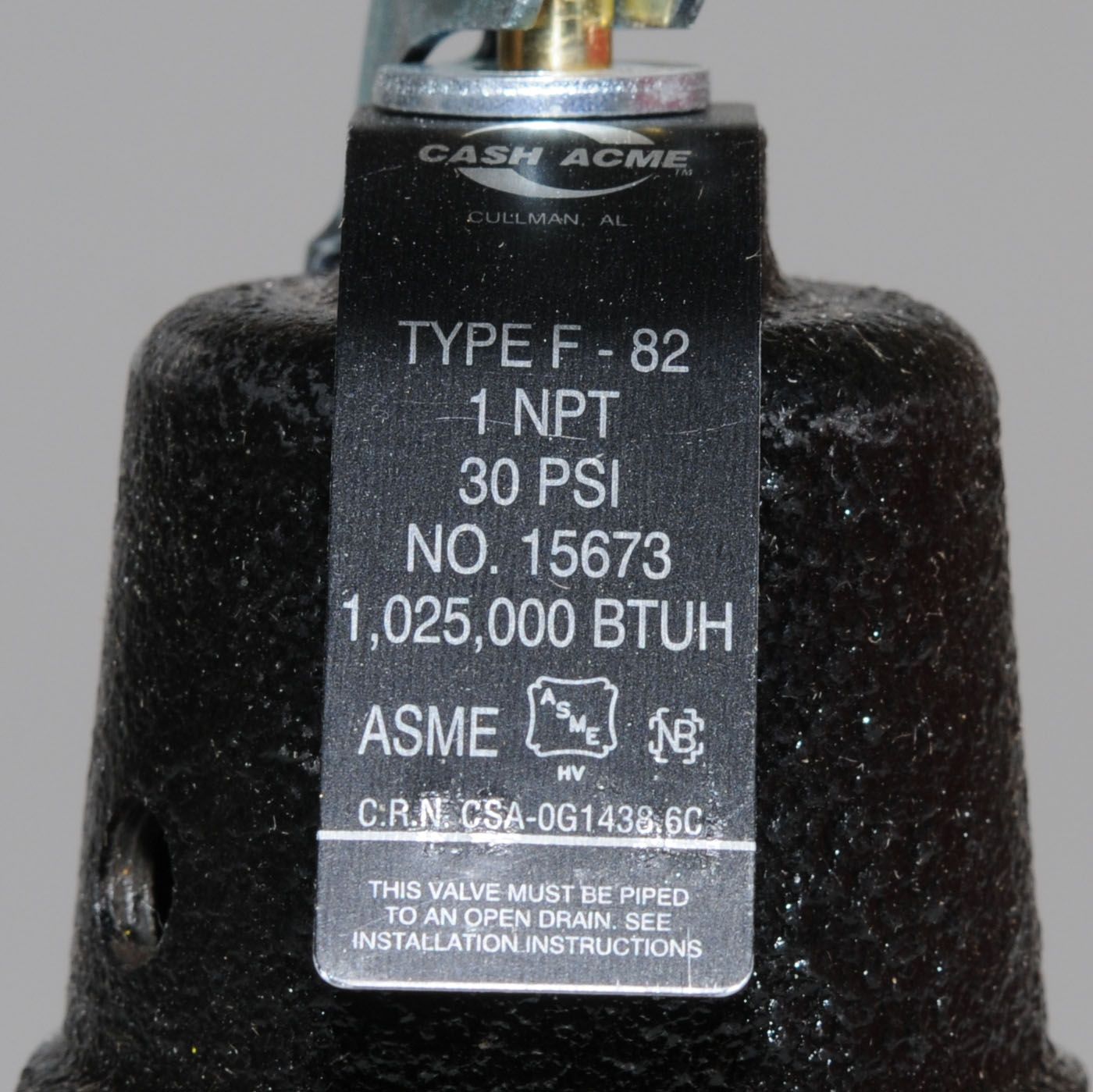 CASH-ACME Cash Acme 23356-0030 F-82 Pressure Relief Valve 30 psi 1 NPT