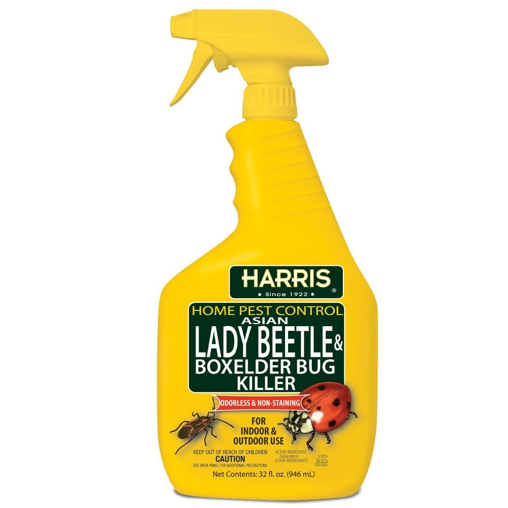 HARRIS Harris HBXA-32 Asian Lady Beetle and Box Elder Killer (32 oz)