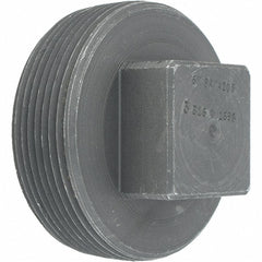 ASC ENGINEERED SOLUTIONS Anvil 0361302201 Square Head Pipe Plug 3 in Class 3000 Npt