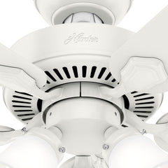 HUNTER Hunter 50885 Swanson Ceiling Fan 29 W (44 inch)