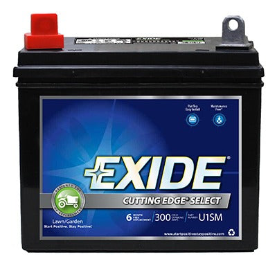 EXIDE Battery Systems Inc U1SM 12V Lawn Garden Tractor Battery