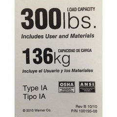 WERNER Werner LDR300 Ladder Replacement Label Type Ia