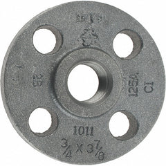 ASC ENGINEERED SOLUTIONS Anvil 0308002005 Threaded Pipe Flange 3/4 in Class 125