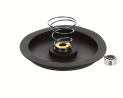 CHAMPION Champion 502730 Seal Kit with Spring Cg DF-M6
