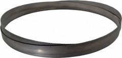 LENOX Lenox 72095CLB123810 Bi-metal Bandsaw Blade 12.5 in
