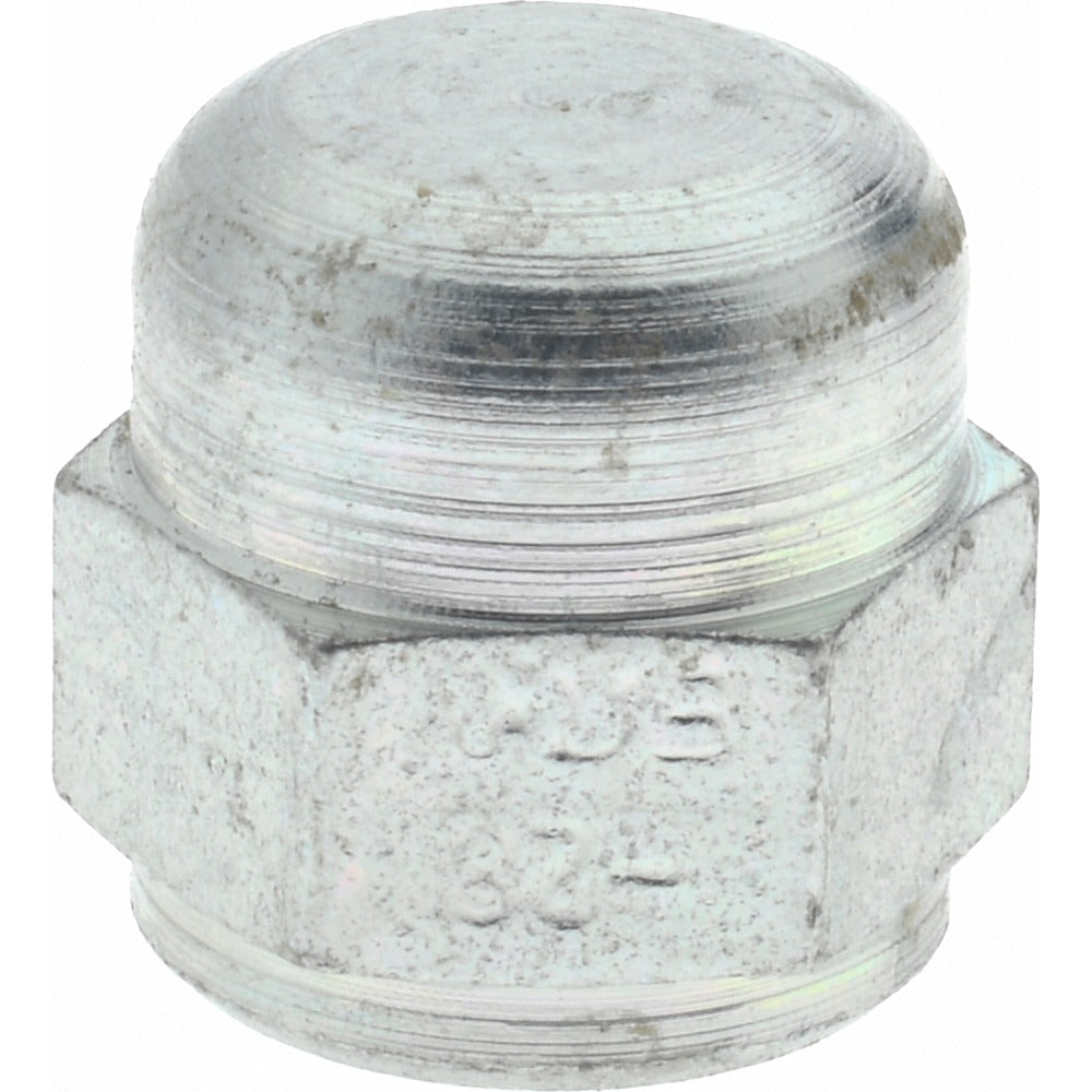 EATON Eaton 210292-4S Steel Flared Tube Cap 1/4 in 37 Deg