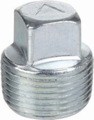 ASC ENGINEERED SOLUTIONS Asc Engineered Solutions 8700160206 3 in Galv Square Head Plug
