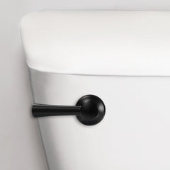 LAVELLE INDUSTRIES Lavelle Industries Inc 6034BP Matte Black Toilet Lever