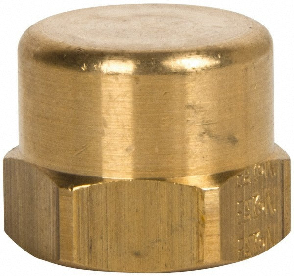 EATON Eaton 3129X4 Pipe End Cap 1/4 in Fnptf 1200 Psi