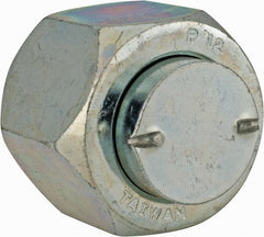 PARKER Parker 12 Fntx-s Pipe Plug Cap Fitting