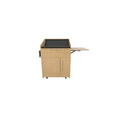 MIDDLE ATLANTIC Middle Atlantic L5-FS-HZ0 Rack Flip Shelf