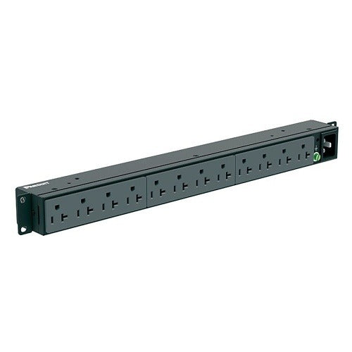 PANDUIT Panduit P12B01M Basic Pdu 15 Amps 12-outlet