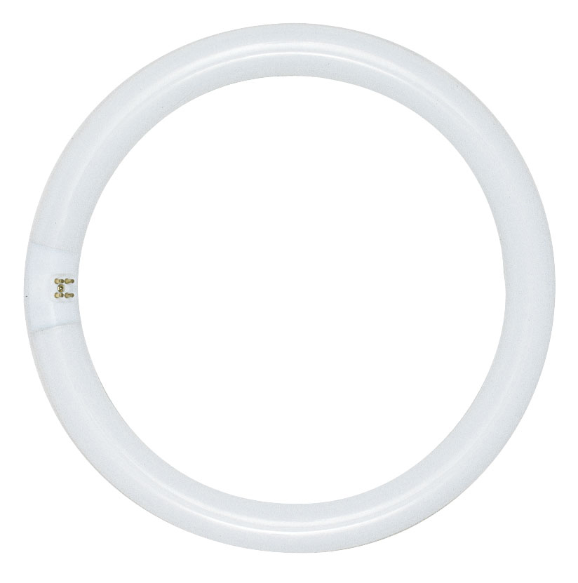 SATCO-NUVO Satco-Nuvo S6506 T9 Circline Fluorescent 40W (4-Pin)