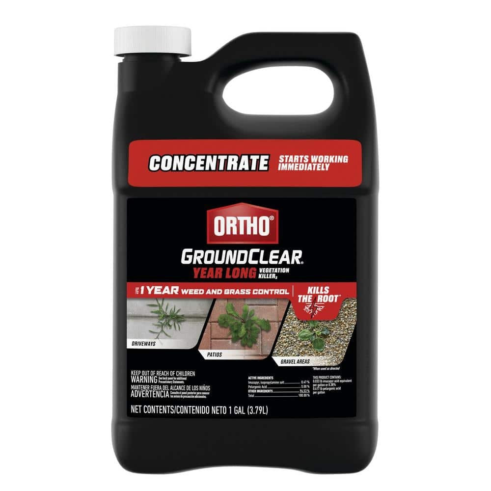 ORTHO Ortho 4657110 Vegetation Killer Concentrate 1 gallon