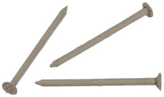 HILLMAN Hillman Fasteners 461822 Stainless Steel Clay Nails