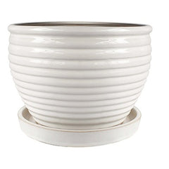TRENDSPOT Trendspot Inc CR10479-08W 9 Inch Honey Planter