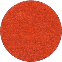 NORTON Norton 66261162319 Quick-change Disc 2 in 50 Grit