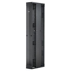 PANDUIT Panduit PE2VSD1096 Cable Manager 10 Inches Wide