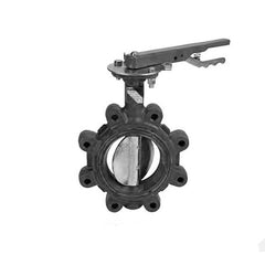 NIBCO Nibco NLG761E LD20103 Disc 200 psi (2-1/2 inch)