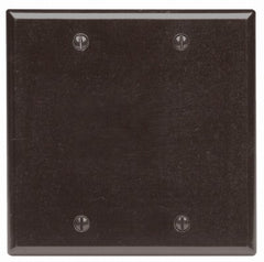 LEVITON Leviton Mfg Co 001-85025-000 2-gang Blank Wall Plate