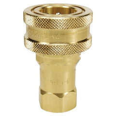 DIXON VALVE Dixon Valve 2HF2-B-LS Quick disconnect coupler (1/4 inches ISO-B / 1/4 inches F-NPTF)