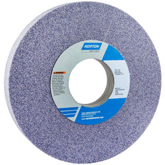 NORTON Norton 66253160754 Surface Grinding Wheel 10in 46 Grit