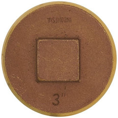 SIOUX CHIEF Sioux Chief 876-RS30 3 RSD brass plug (3 in) replacement 876-30